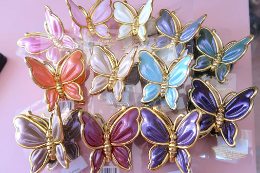 Mystery Butterfly Claw Clip